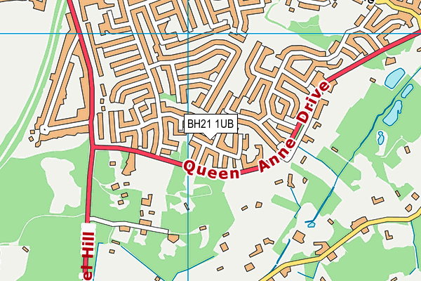 BH21 1UB map - OS VectorMap District (Ordnance Survey)