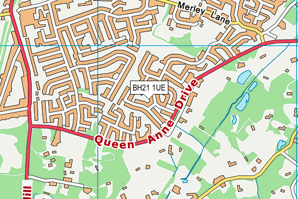BH21 1UE map - OS VectorMap District (Ordnance Survey)