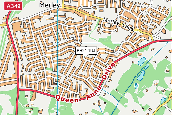 BH21 1UJ map - OS VectorMap District (Ordnance Survey)