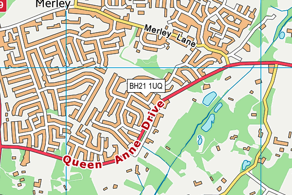 BH21 1UQ map - OS VectorMap District (Ordnance Survey)