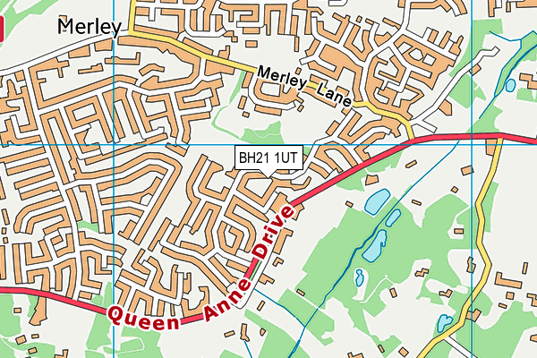 BH21 1UT map - OS VectorMap District (Ordnance Survey)
