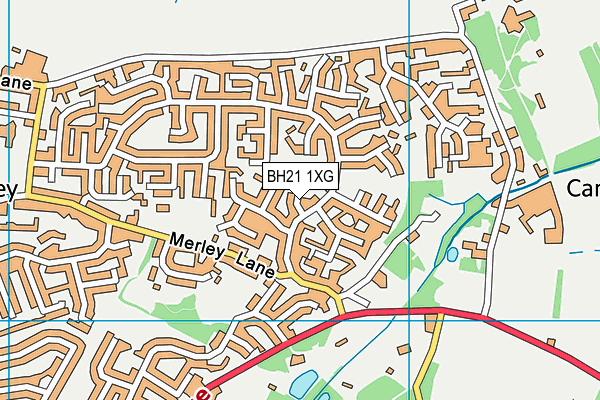BH21 1XG map - OS VectorMap District (Ordnance Survey)