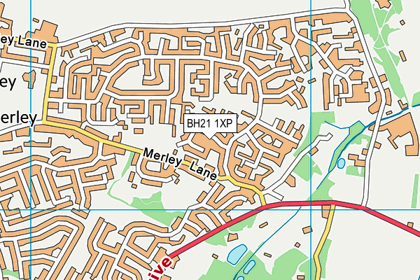 BH21 1XP map - OS VectorMap District (Ordnance Survey)