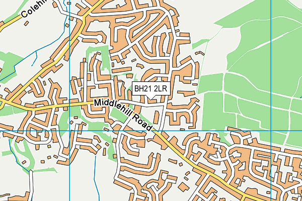 BH21 2LR map - OS VectorMap District (Ordnance Survey)