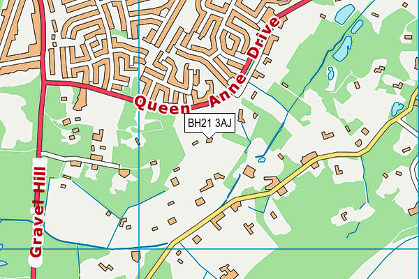 BH21 3AJ map - OS VectorMap District (Ordnance Survey)
