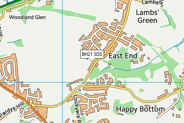 BH21 3DS map - OS VectorMap District (Ordnance Survey)