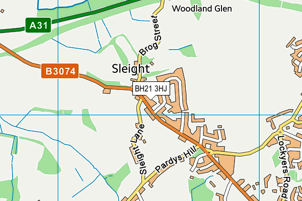 BH21 3HJ map - OS VectorMap District (Ordnance Survey)