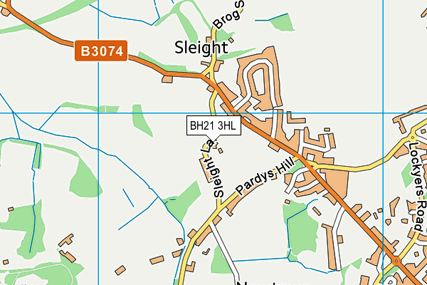 BH21 3HL map - OS VectorMap District (Ordnance Survey)