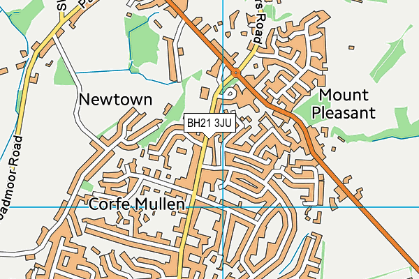 BH21 3JU map - OS VectorMap District (Ordnance Survey)
