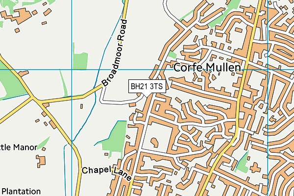 BH21 3TS map - OS VectorMap District (Ordnance Survey)