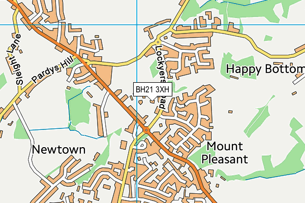 BH21 3XH map - OS VectorMap District (Ordnance Survey)
