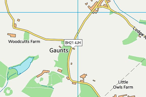 Gaunts Common Playing Field map (BH21 4JH) - OS VectorMap District (Ordnance Survey)