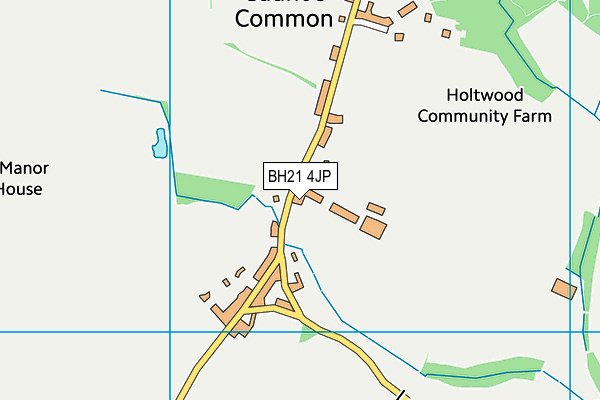 BH21 4JP map - OS VectorMap District (Ordnance Survey)
