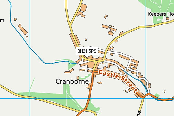 BH21 5PS map - OS VectorMap District (Ordnance Survey)