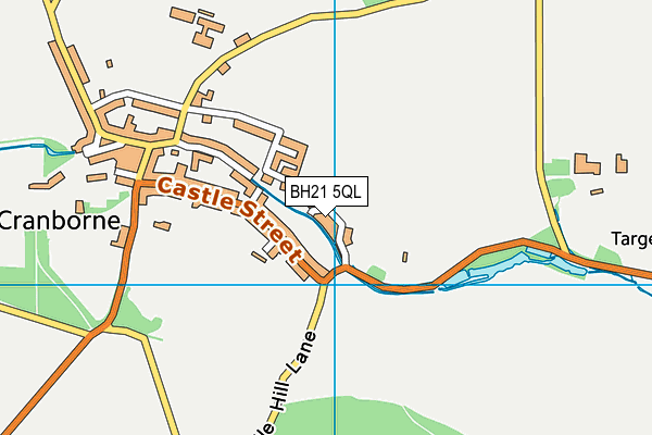 BH21 5QL map - OS VectorMap District (Ordnance Survey)