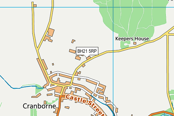 BH21 5RP map - OS VectorMap District (Ordnance Survey)