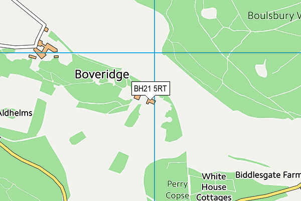 The Beeches School map (BH21 5RT) - OS VectorMap District (Ordnance Survey)