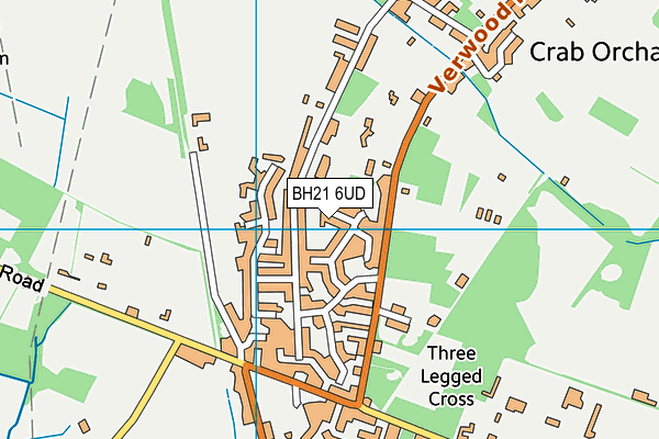 BH21 6UD map - OS VectorMap District (Ordnance Survey)