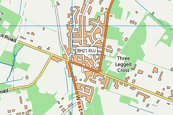 BH21 6UJ map - OS VectorMap District (Ordnance Survey)