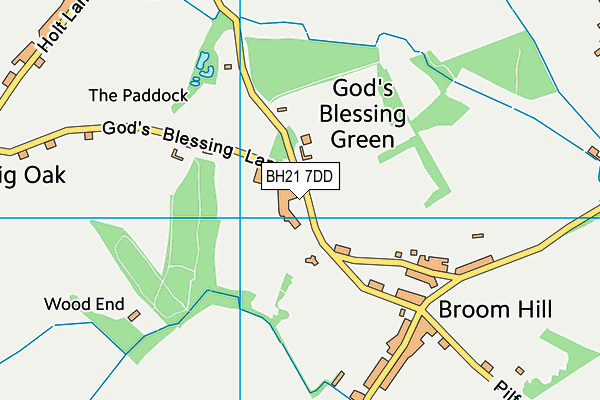 BH21 7DD map - OS VectorMap District (Ordnance Survey)