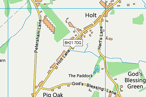 BH21 7DQ map - OS VectorMap District (Ordnance Survey)