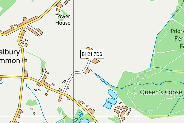 BH21 7DS map - OS VectorMap District (Ordnance Survey)