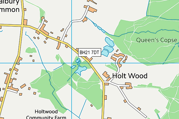 BH21 7DT map - OS VectorMap District (Ordnance Survey)