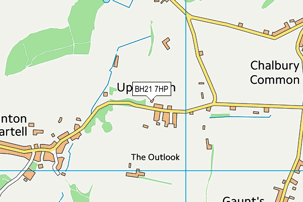 BH21 7HP map - OS VectorMap District (Ordnance Survey)