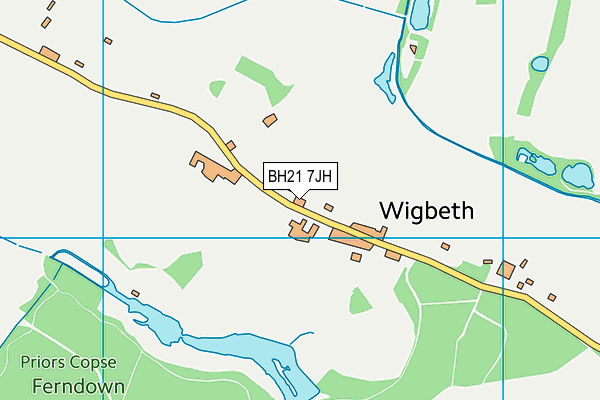 BH21 7JH map - OS VectorMap District (Ordnance Survey)