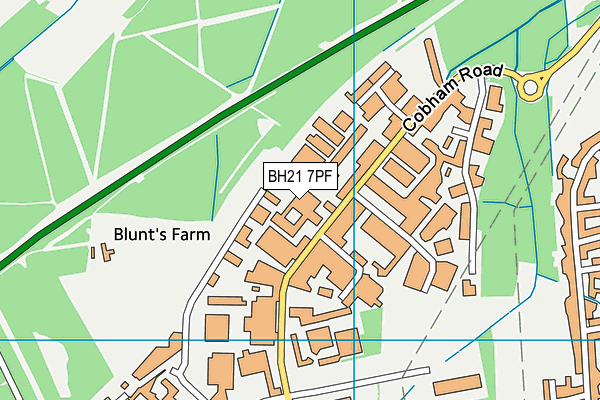 BH21 7PF map - OS VectorMap District (Ordnance Survey)