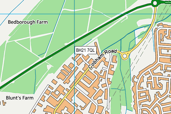 BH21 7QL map - OS VectorMap District (Ordnance Survey)