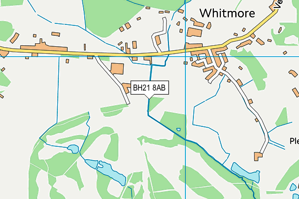 BH21 8AB map - OS VectorMap District (Ordnance Survey)
