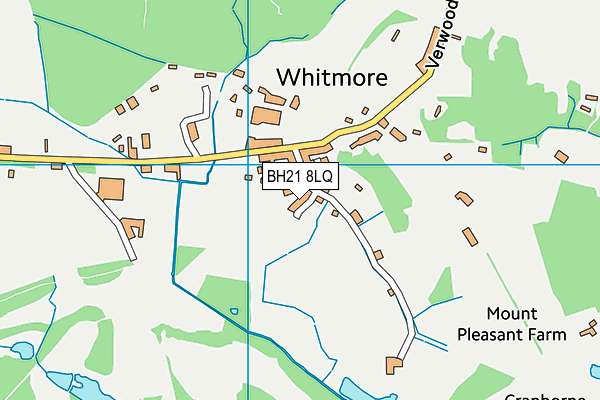 BH21 8LQ map - OS VectorMap District (Ordnance Survey)