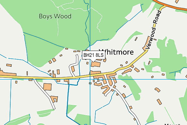 BH21 8LS map - OS VectorMap District (Ordnance Survey)