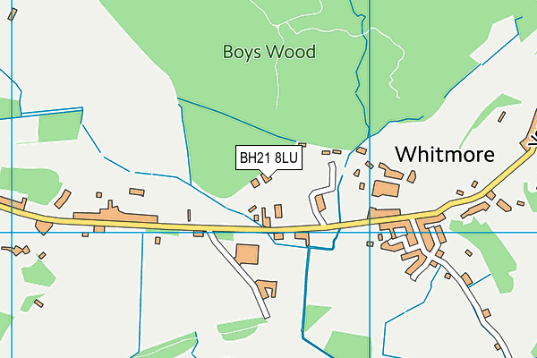 BH21 8LU map - OS VectorMap District (Ordnance Survey)