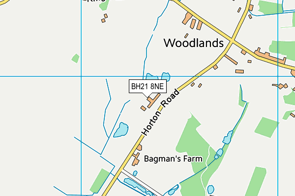 BH21 8NE map - OS VectorMap District (Ordnance Survey)