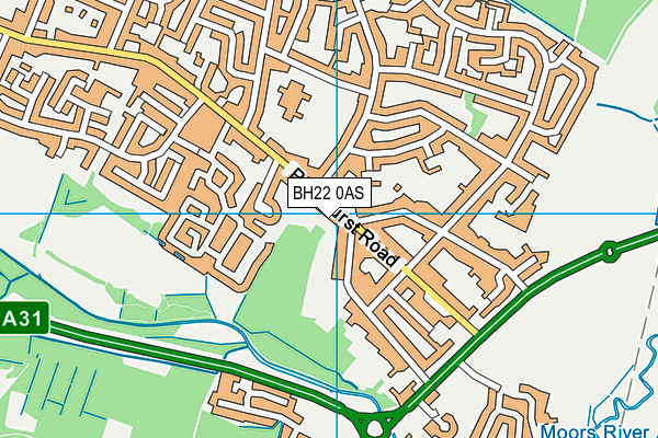 BH22 0AS map - OS VectorMap District (Ordnance Survey)