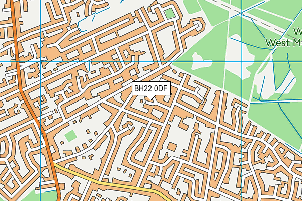 BH22 0DF map - OS VectorMap District (Ordnance Survey)