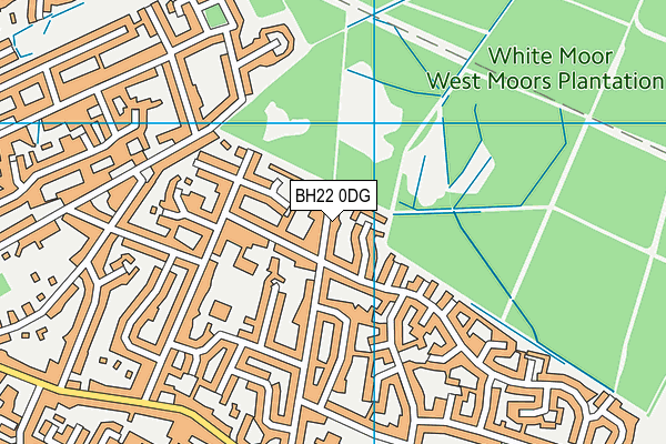 BH22 0DG map - OS VectorMap District (Ordnance Survey)