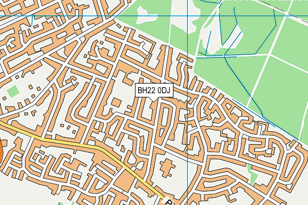 BH22 0DJ map - OS VectorMap District (Ordnance Survey)