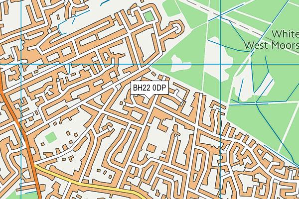 BH22 0DP map - OS VectorMap District (Ordnance Survey)