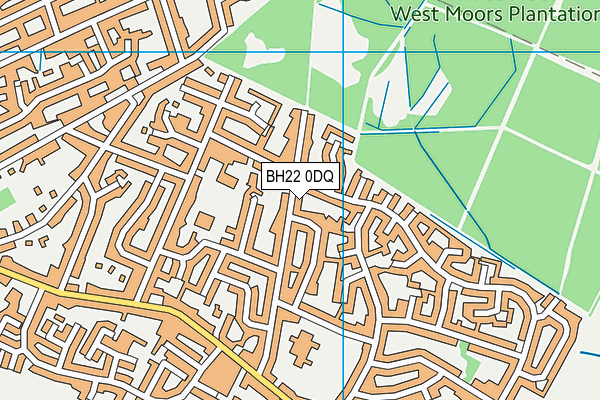BH22 0DQ map - OS VectorMap District (Ordnance Survey)