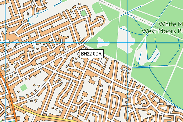 BH22 0DR map - OS VectorMap District (Ordnance Survey)