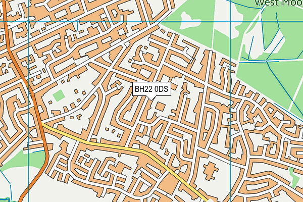 BH22 0DS map - OS VectorMap District (Ordnance Survey)