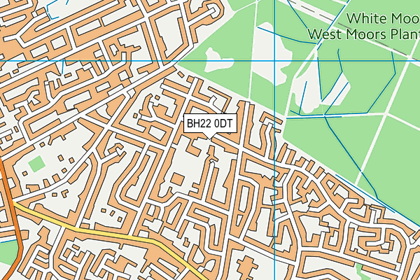 BH22 0DT map - OS VectorMap District (Ordnance Survey)