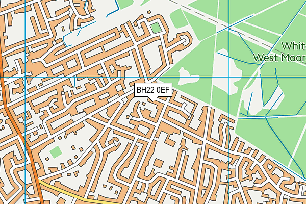 BH22 0EF map - OS VectorMap District (Ordnance Survey)