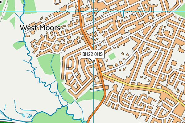 BH22 0HS map - OS VectorMap District (Ordnance Survey)