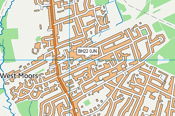 BH22 0JN map - OS VectorMap District (Ordnance Survey)