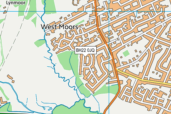 BH22 0JQ map - OS VectorMap District (Ordnance Survey)