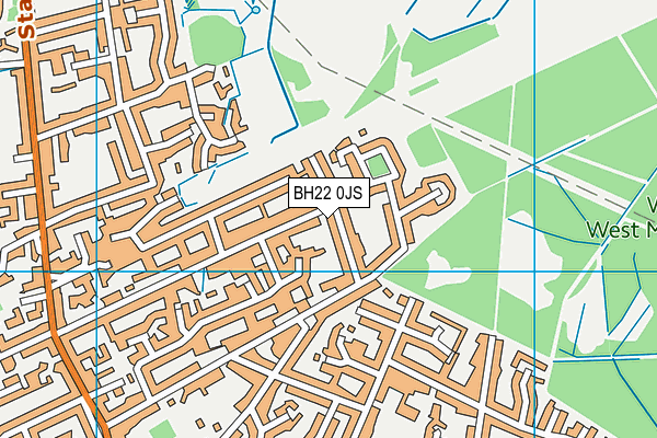 BH22 0JS map - OS VectorMap District (Ordnance Survey)